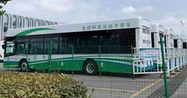 Hydrogen buses